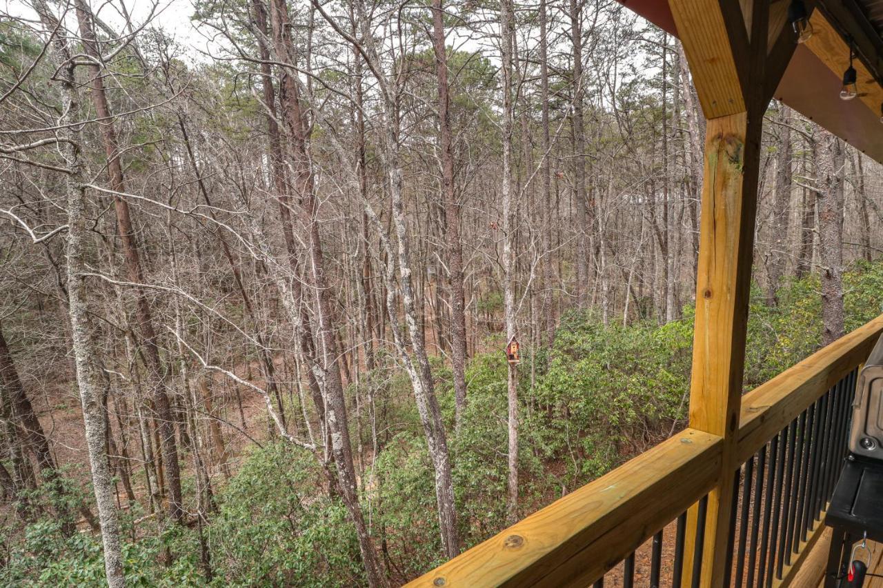 Cozy Bear Cabin #1 Sautee Nacoochee エクステリア 写真